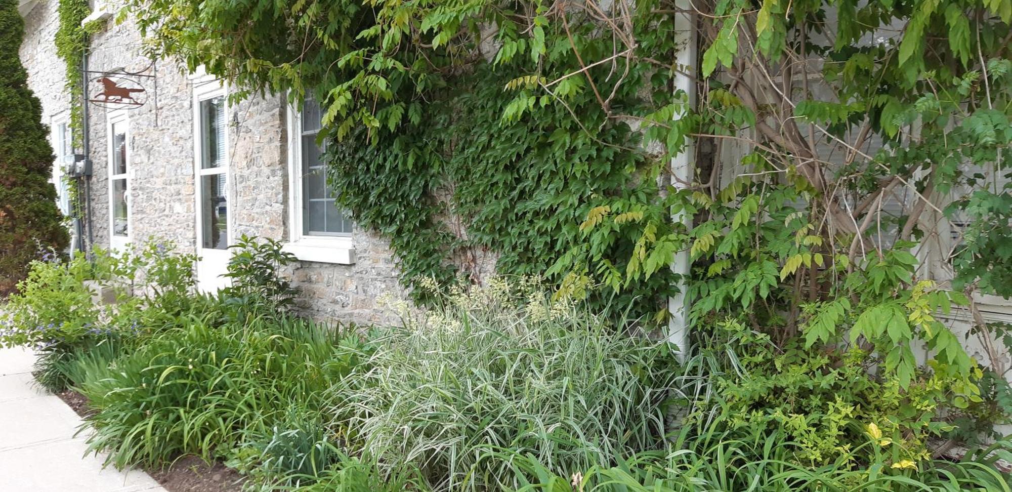 Stone Carriage House Villa Picton Bagian luar foto