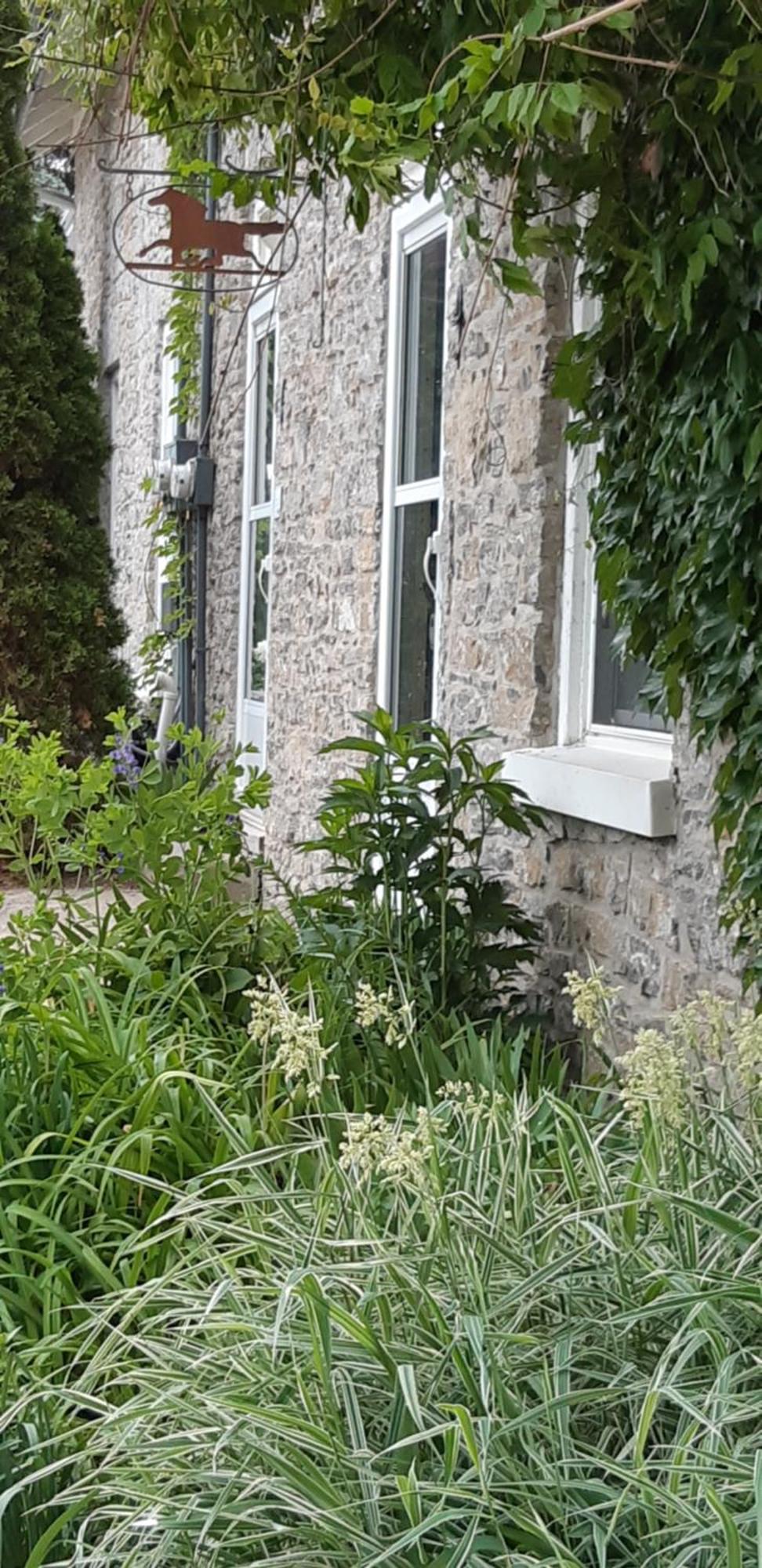 Stone Carriage House Villa Picton Bagian luar foto